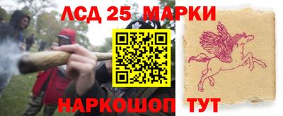 гидропоника Пыть-Ях