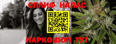 тгк Пугачёв