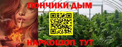 гидропоника Пушкино