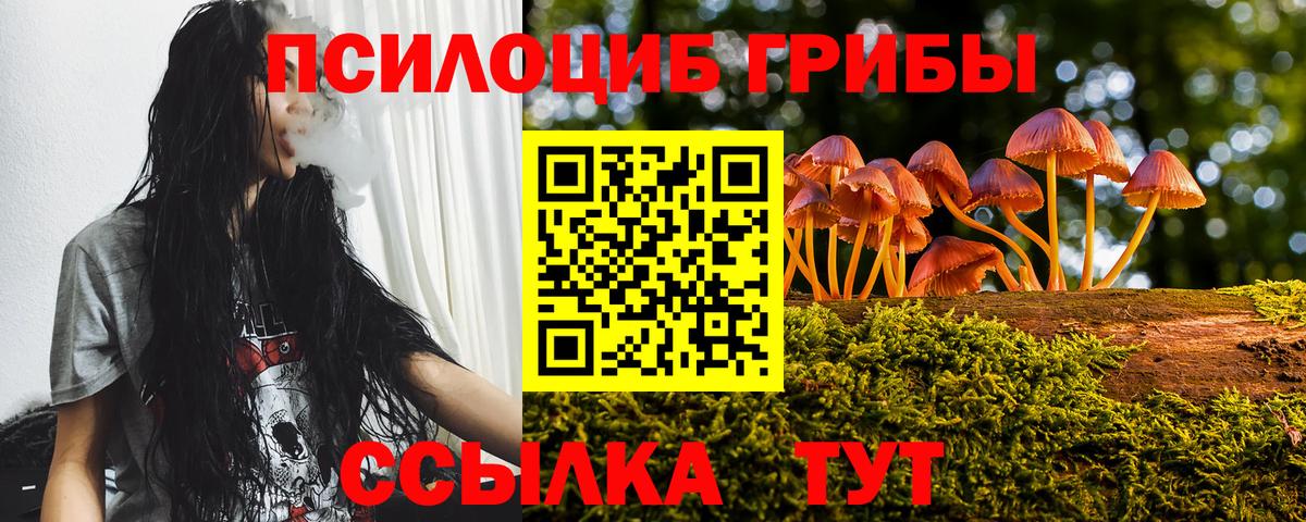 Галлюциногенные грибы Cubensis  Псилоцибиновые грибы Cubensis  Вход с VPN  Подольск 