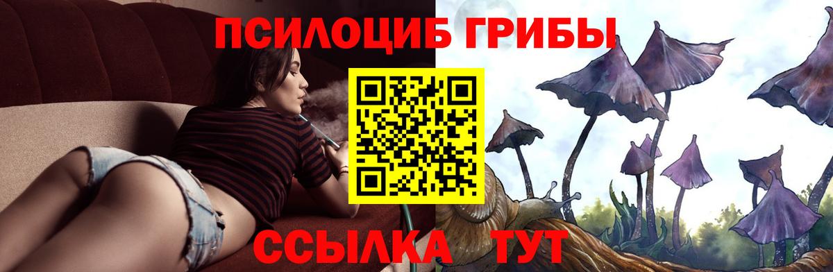 Галлюциногенные грибы GOLDEN TEACHER Подольск
